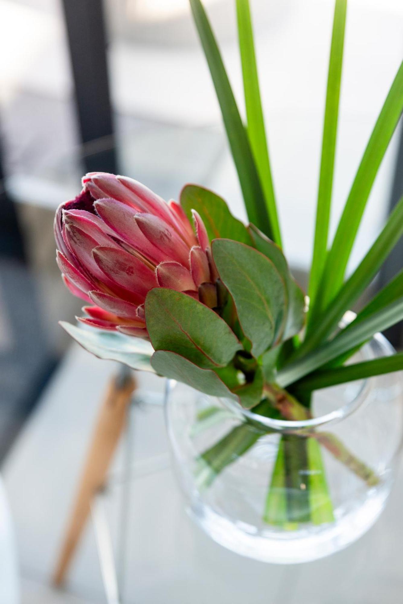 THEBLOEM Guest Suites Knysna Buitenkant foto